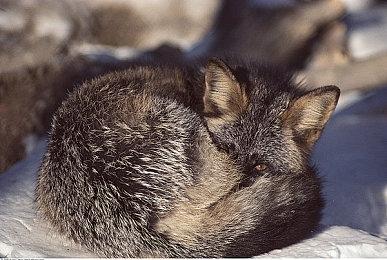 火箭模拟游戏《Next Space Rebels》Switch版延至明年