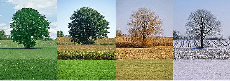 Epic喜加一：《蛇鸟：完整版》免费领取